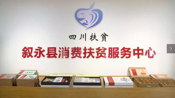 消費(fèi)扶貧助力脫貧攻堅(jiān) 勞務(wù)服務(wù)的創(chuàng)新路徑與深遠(yuǎn)影響